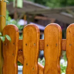Jakie drewno na płot wybrać, aby uniknąć kosztownych błędów?