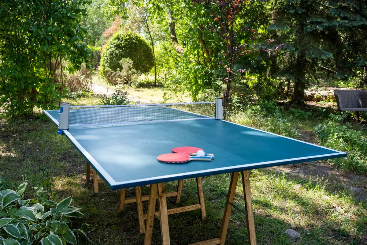 Zdjęcie Z czego zrobić stół do ping ponga? Najlepsze materiały i porady